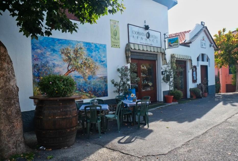 Casa Di Claudia Lejlighed Arnasco Eksteriør billede